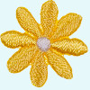 Blume: 20mm gelb/weiß
