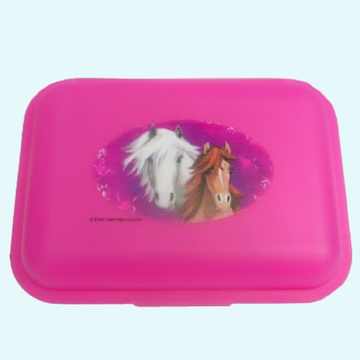 Emil Kinder Schul-Brotdose mit Trennsteg BPA-free Emil Kinder Pausen-Brotbox/Brotdose/Frühstücksdose BPA-free mit Trennsteg für Kindergarten & Schule