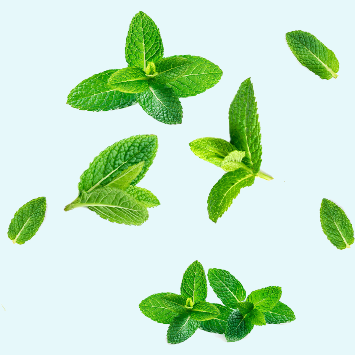 dōTERRA SuperMint™ Zahnpasta mit reinen ätherischen Ölen - CPTG zertifiziert