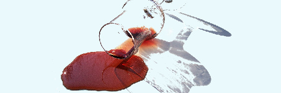 Fleckenzwerge Fleckenzwerge