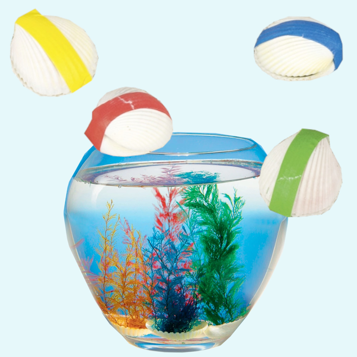 Coole Wundermuschel für Kinder wird zur Koralle - Goki Coole Wundermuschel für Kinder wird zur Koralle - Goki