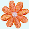Blume: 20mm apricot/weiß